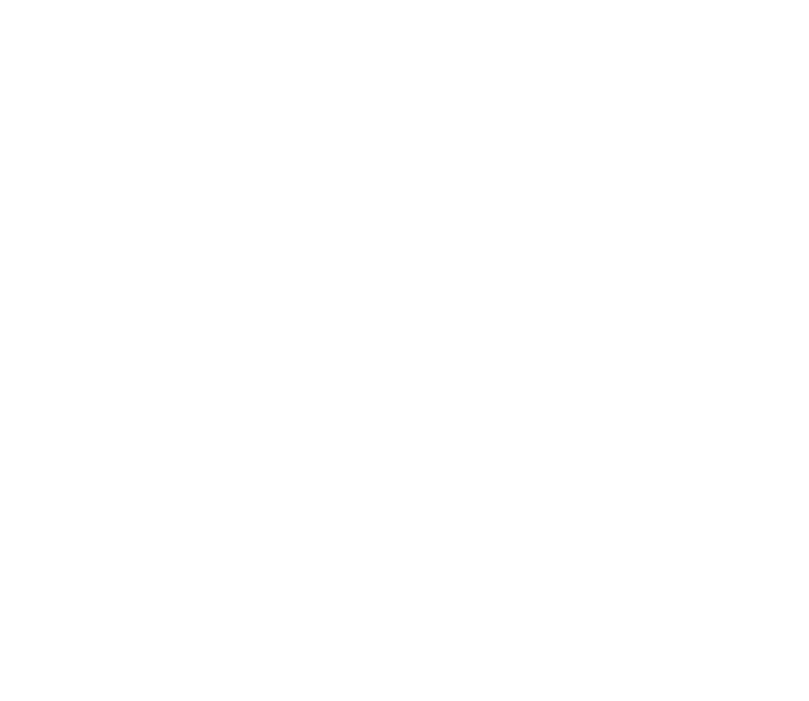 Brand Authority Development